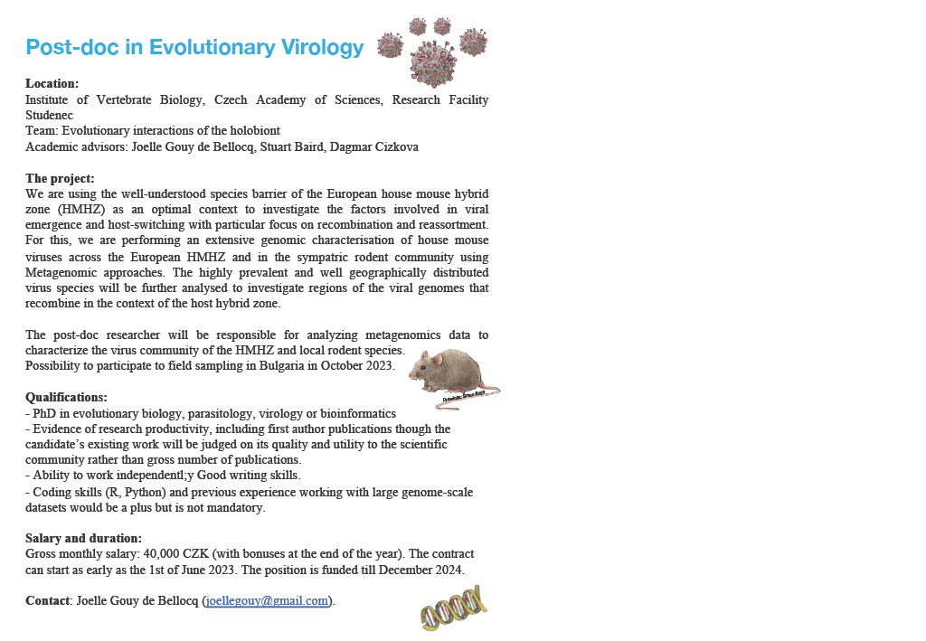flyer_postdoc-position_evolutionary-virology