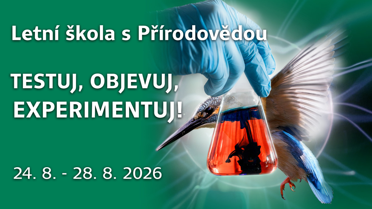 letni_skola_1920x1080