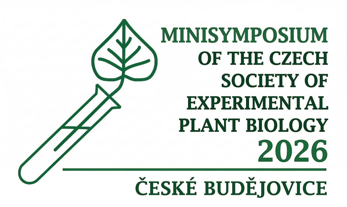 minisymposium-kebr-2026.-png